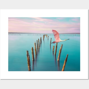 Roseate Spoonbill in Flight Posters and Art